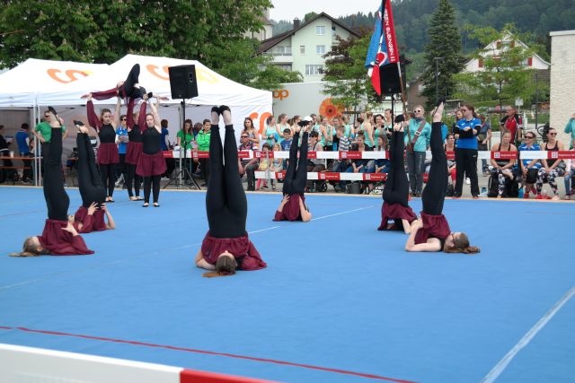 Bild (17)